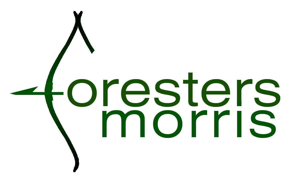 Download this Foresters Morris Webmaster picture
